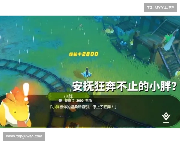 海岛纪元:支线任务的完美落幕 海岛纪元:支线任务的完美落幕